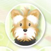 Игры ухаживать